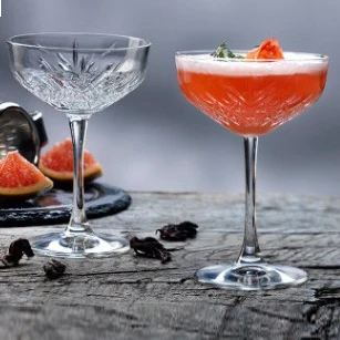 250ML Martini Glass SW200510