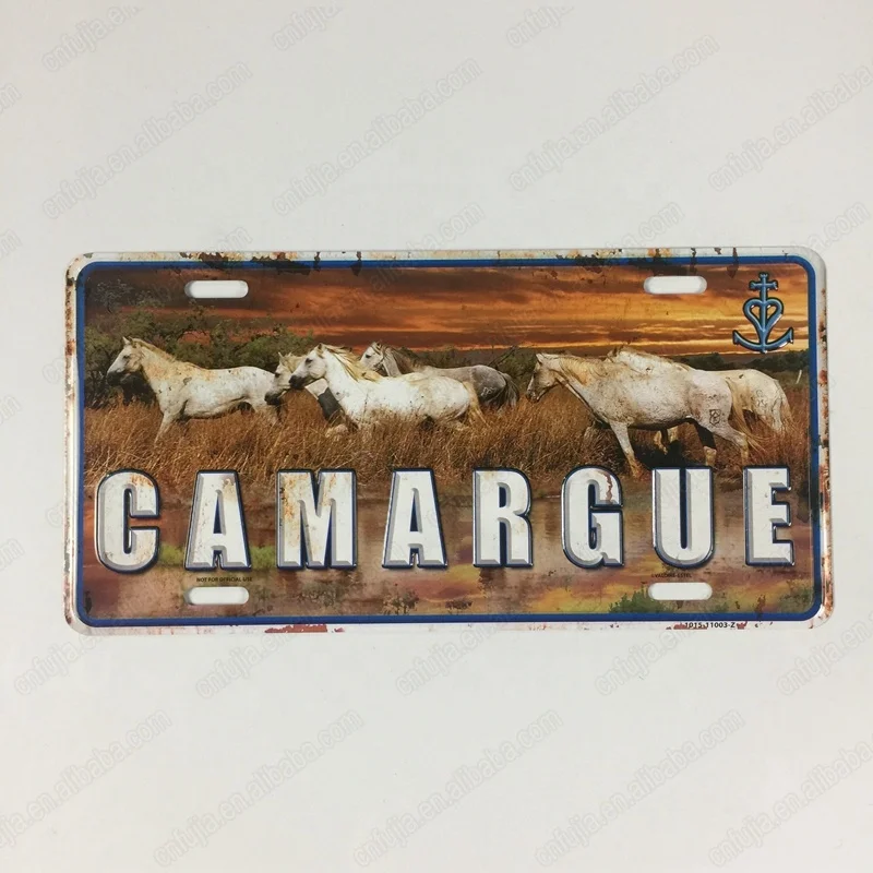 USA promotion souvenir wall decor custom embossed printing car license plate