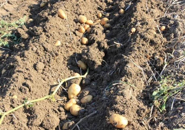 SOIL TILLAGE MACHINES THE HEAVY DISC HARROW ADH SERIES