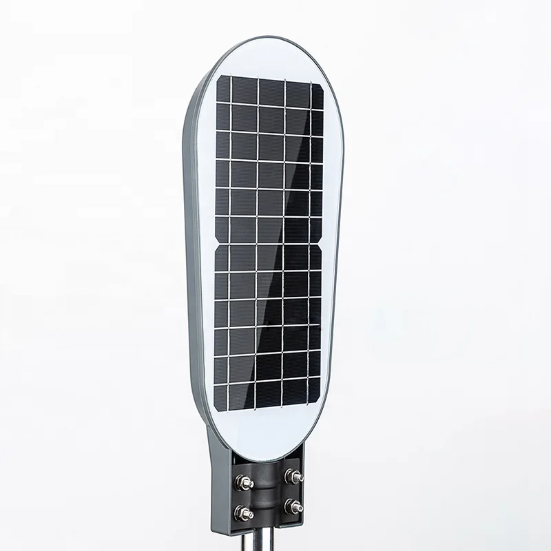 Waterproof adhesive technology 100W induction lamp lighting led solar street light