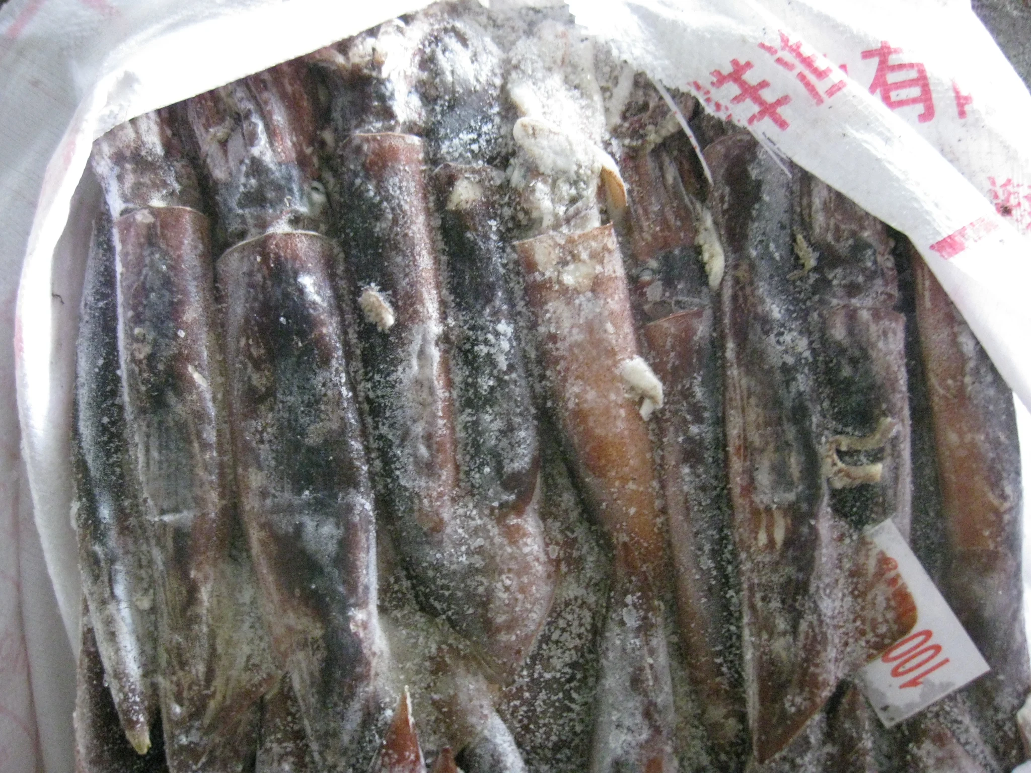Seafood Supplier  Frozen Illex Argentina Squid 200-300g