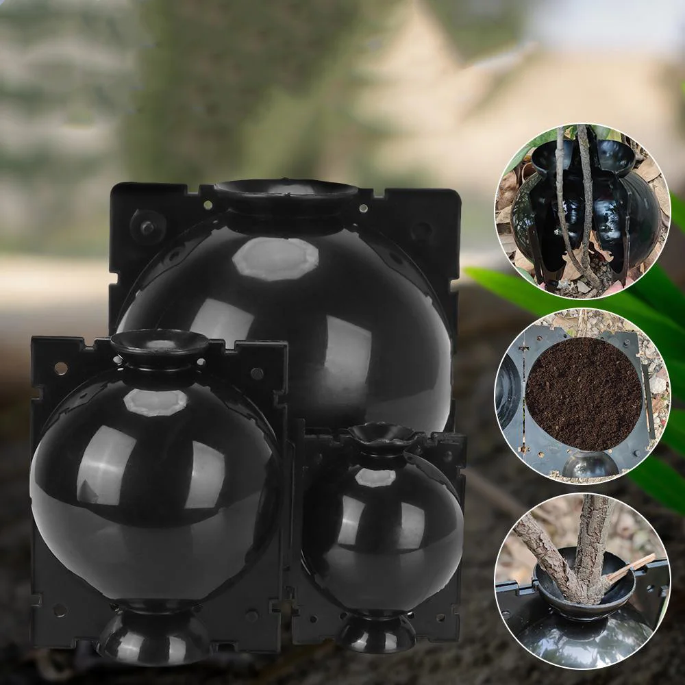 Plant rooting box reusable plant rooting device to assist cutting pressure spreading ball