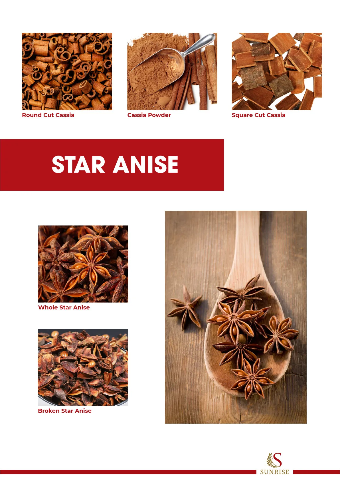 STAR ANISE.jpg