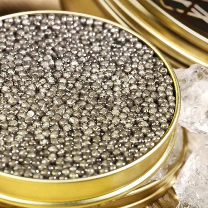 Hot sale delicious KalugaQueen High Grade Hybrid black caviar sturgeon