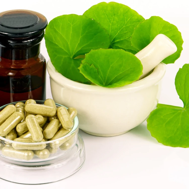 Bulk price hydrocotyle asiatica extract/centella asiatica extract /gotu Kola extract powder 90% asiatic acid