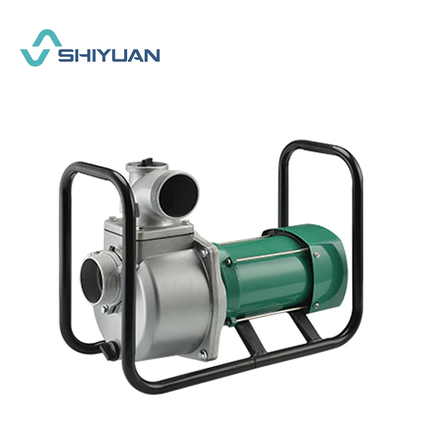 Портативный водяной насос постоянного тока 2hp лучшего качества на продажу