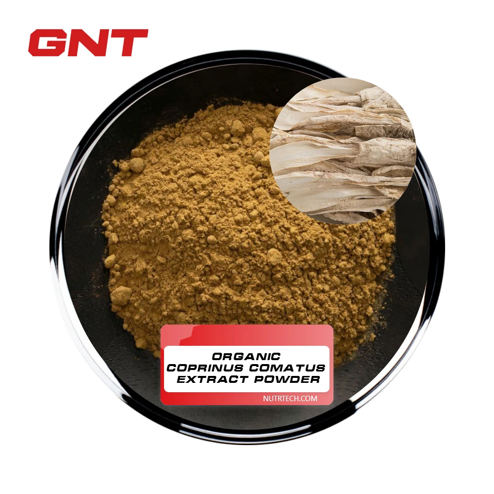 Полисахариды для куриных ног экстракт порошка Coprinus Comatus в наличии прямые поставки от