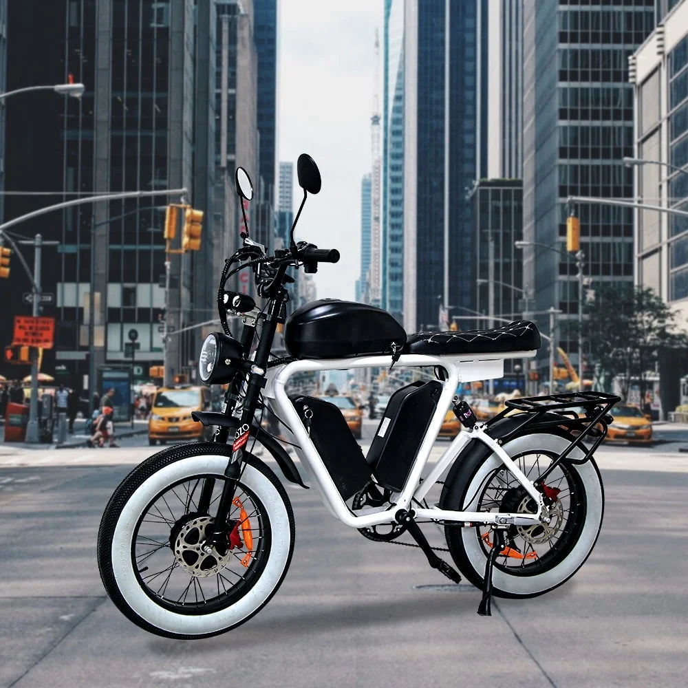 Dual Bafang  Motors Electric BIKE  48v 1000W  triple  lithium batteries fat tire electric bicycle wholesale bicicleta electrica