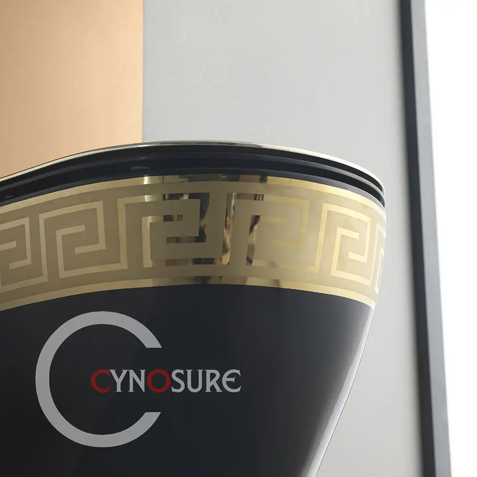 Wholesale New Product Design Ceramic Gravity Flushing Wall Hung Toilet Bolt Wall Mounted Hung Toilet