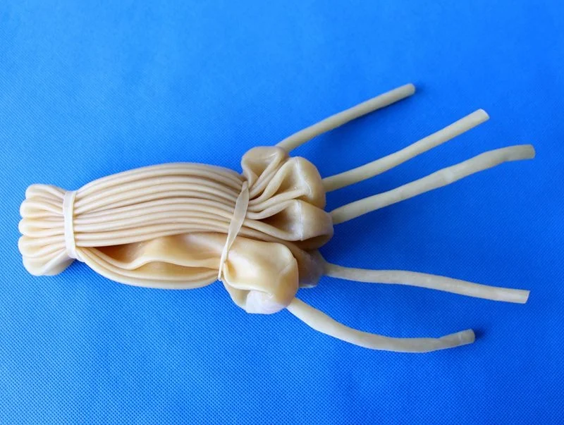 5L 7L Lab use gas sampling Inflatable latex bladder