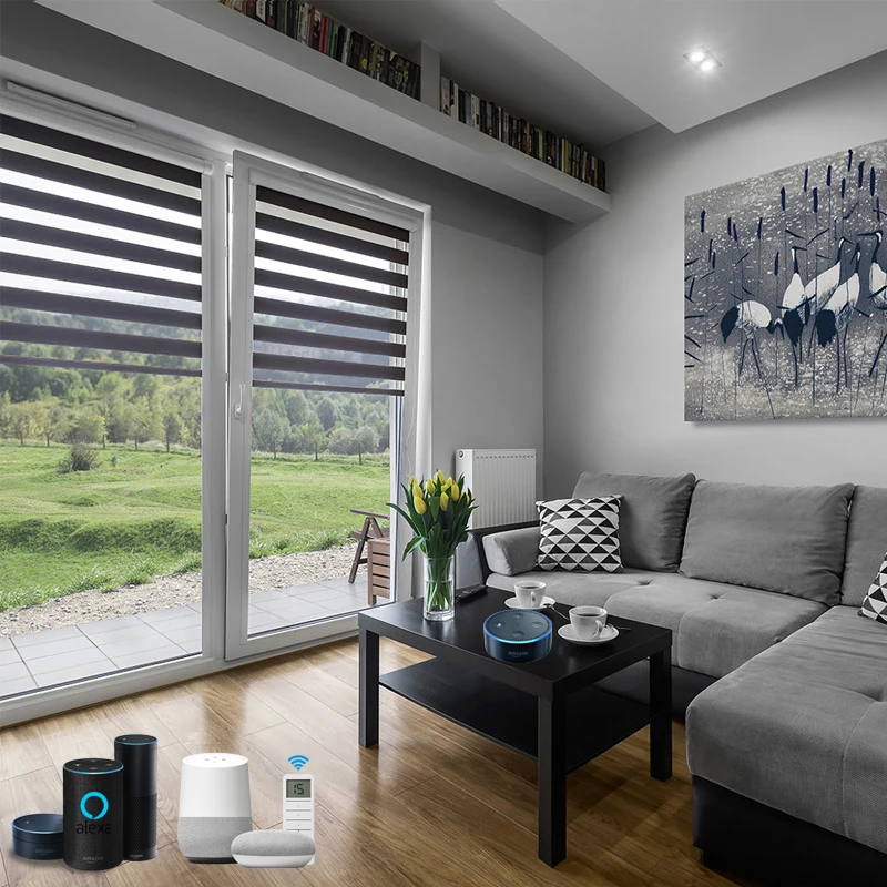 Automated Window Blinds No Drills Blackout Day Night Zebra Electric Blinds Cover