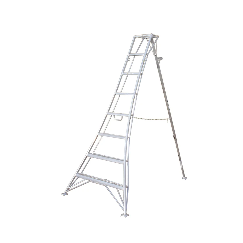 Sturdy double pipe construction wide stainless steel step ladder