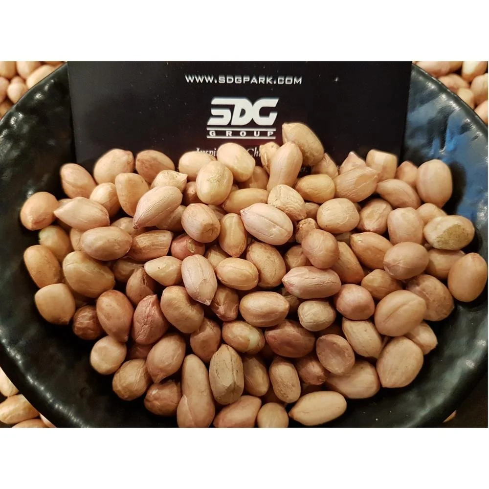 Premium Quality Mungfali Dana 50/60 JAVA Peanut Groundnut in jute bag supplier in India