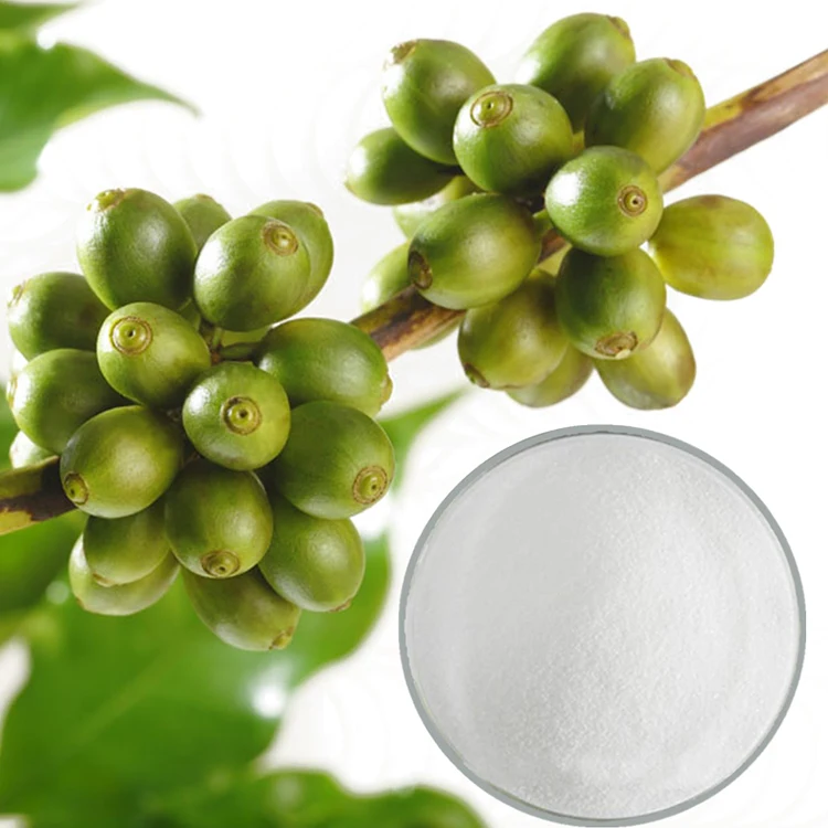 
Natural Raw Material Green Coffee Beans Extract Powder Benefit to Kidney 
