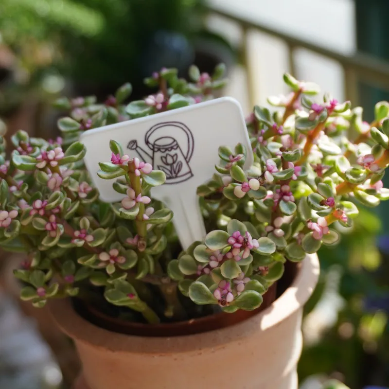 Sublimation Plastic Custom Tag Nursery Name Plant Garden Supplies Plant Sign Tag Circular For Gardening