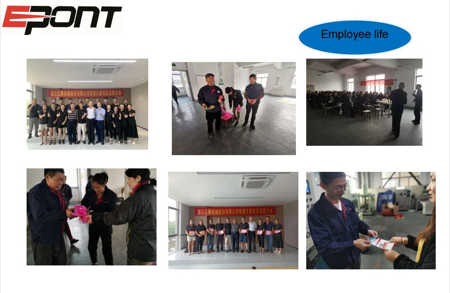 Gato hydraulic Factory Wholesale Price  High Quality Easy To Use 3 Ton Cats Low Profile gatos floor Jack For Car Lifting