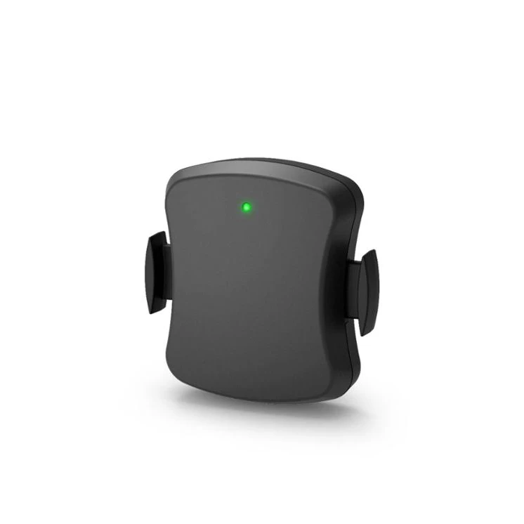  Оптовый Поставщик CHILEAF BT4.0 и ANT + внутренний Zwift наружный датчик скорости частоты вращения педалей для