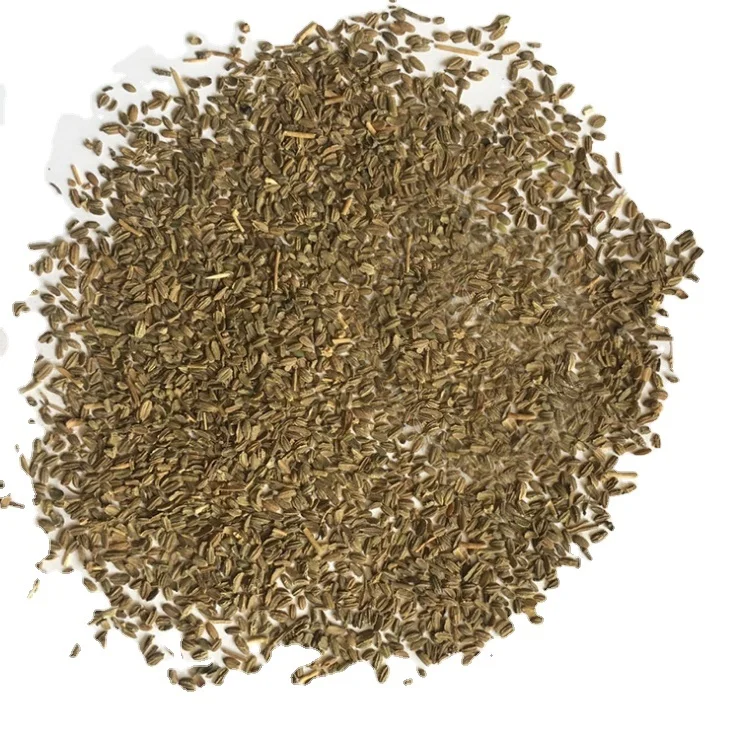 Семена черной моркови высокой урожайности