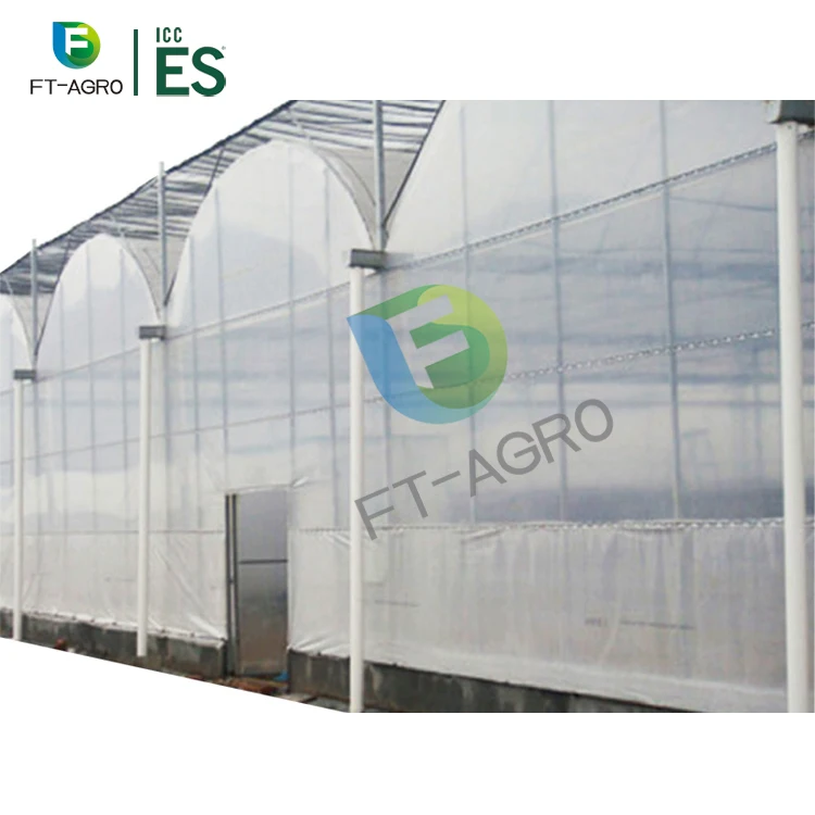 Tray Plastic China Greenhouse Strawberry Cover Customized Hot Steel Frame Layer Film Air Roof Fan