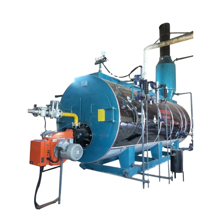 Wholesale good price methane gas fired steam boiler for noodle plant