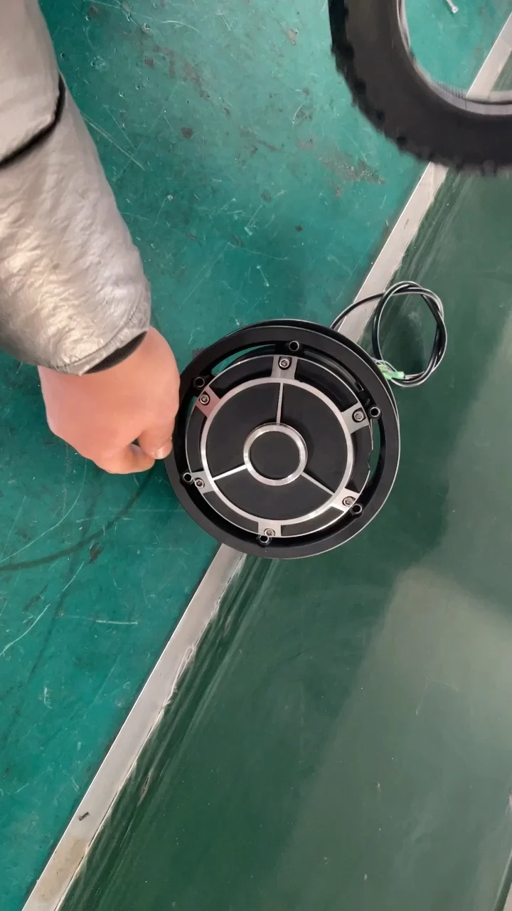 Electric Scooter Motor for Mobility Scooter 10 Inch Tire