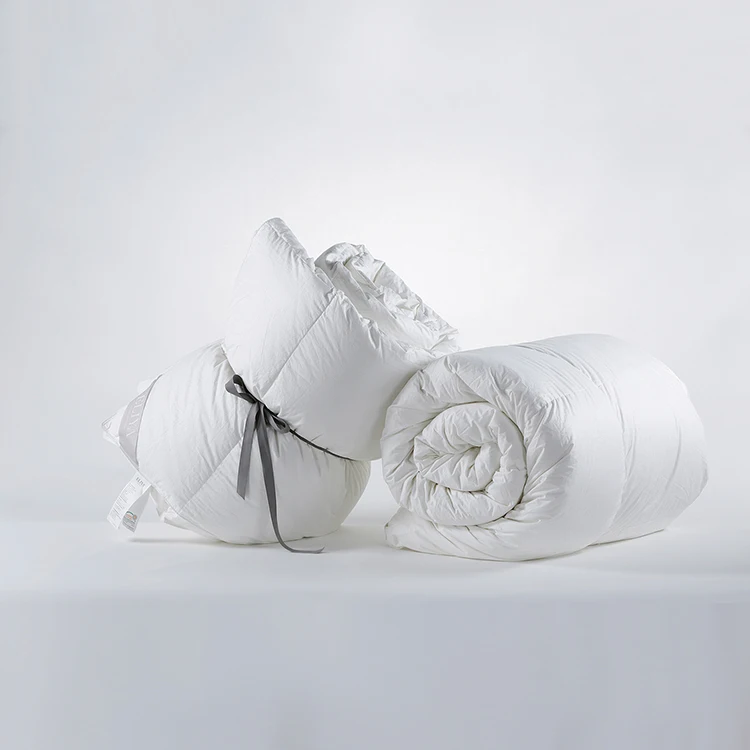 1_0002s_0035_ 22.jpg