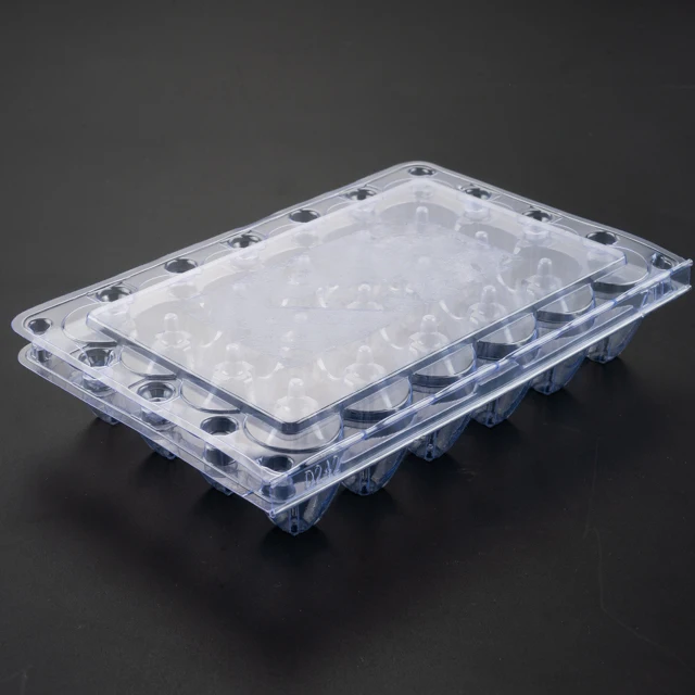 
Custom Packs Clear Cartons Blister Plastic Quail Egg Box 