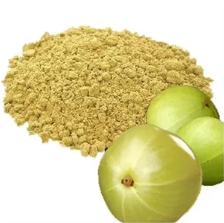 Best Dried Amla Powder for Hair Herbal Extract OEM Wholesale Manufacturer Private Label hair care product