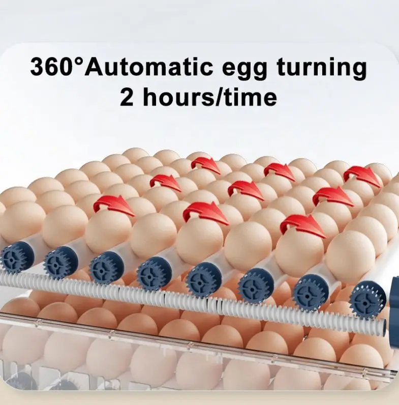 400 eggs automatic chicken egg incubator for hatching chicken eggs