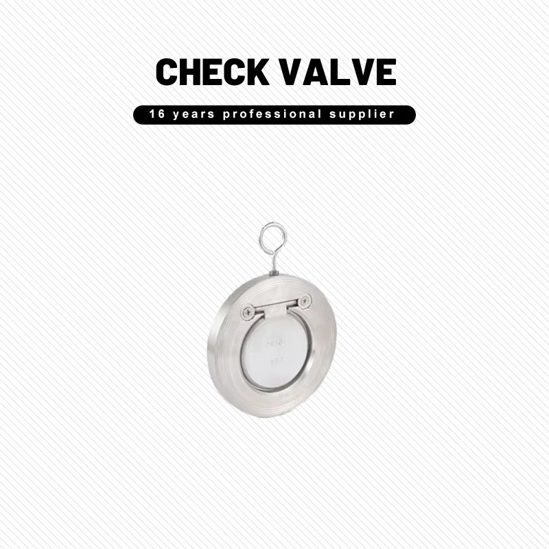 DN200 Thin Single Plate Circular Disc Check Valve SS304 Wafer Type Check Valve Baffle Type Check Valve