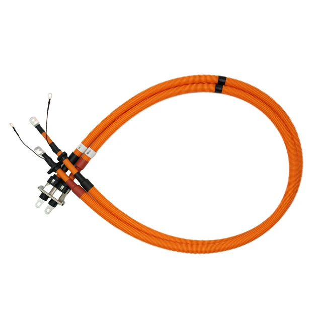 Custom automotive motorcycle connector wire harness Assembly