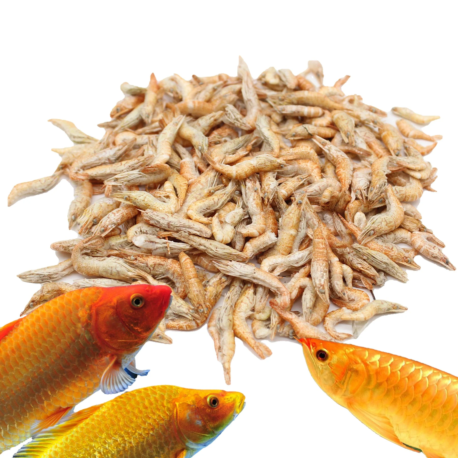 Fresh Seafood Cat Snack Freeze Dried Krill Shrimp for Fish Feed