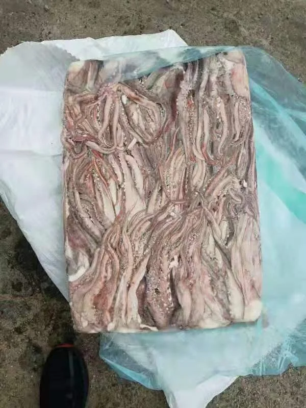 
Good Sale Frozen Squid Tentacles 