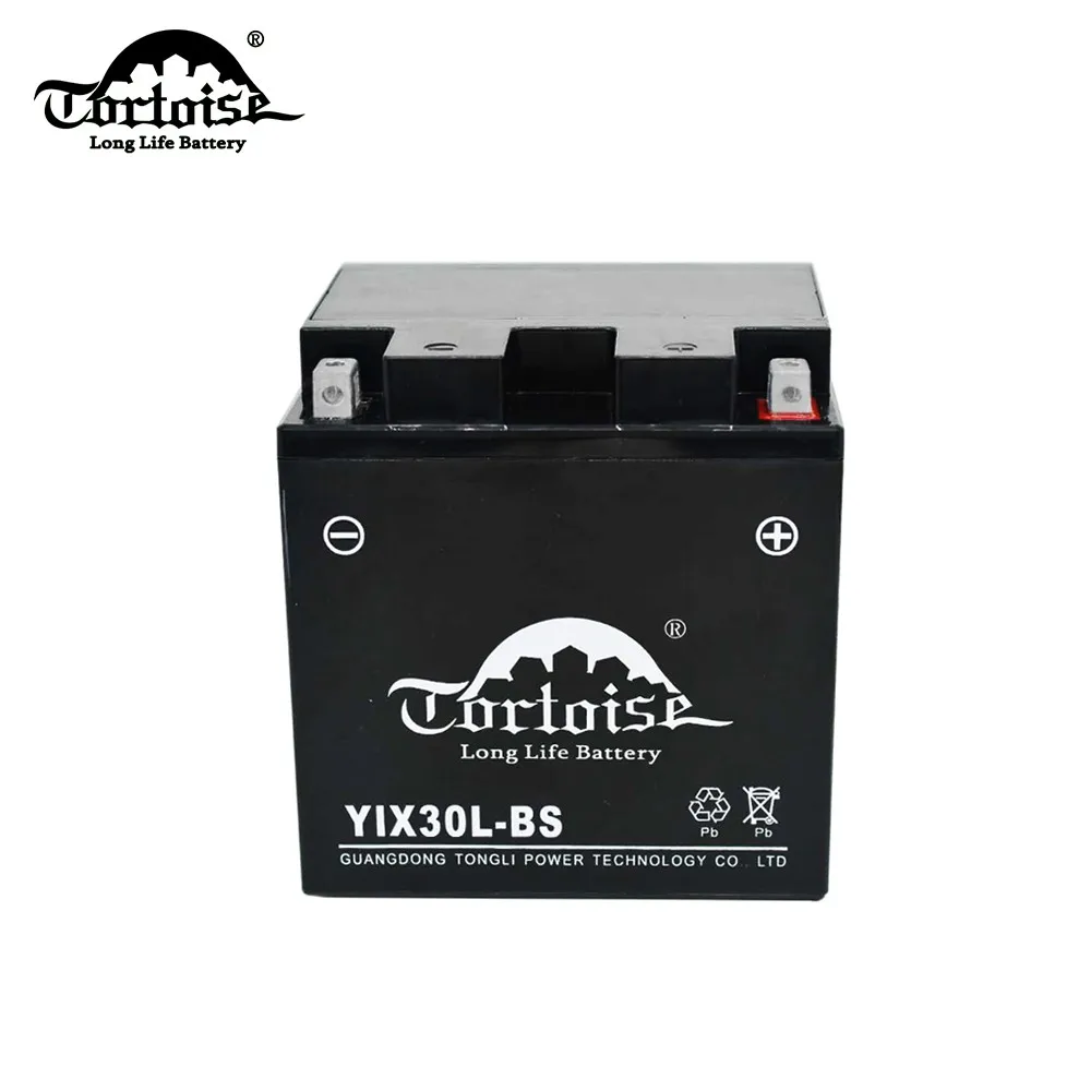  YTX30-BS Аккумулятор для