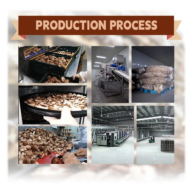 Wholesale high quality Dried mushroom hot sale