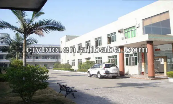 A Grade Matcha powder Matcha Green Tea Powder