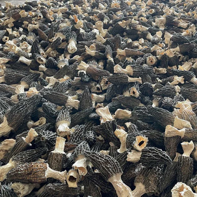 wholesale morel mushrooms 4-6cm Delicious edible raw dried morel mushrooms for sale