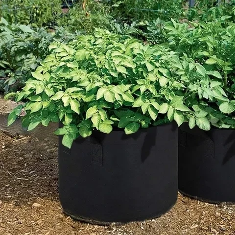 All Sizes Black Color Planter Grow Bag Tree Seeding Pot Fruit Fabric Plant Grow Bags