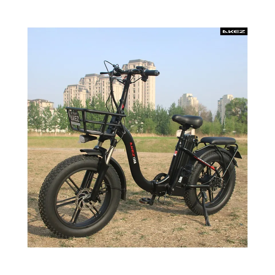Wholesale Of New Products Step-Thru Electric City Bike 20*4.0 Inch Fat Tire 750W Motor