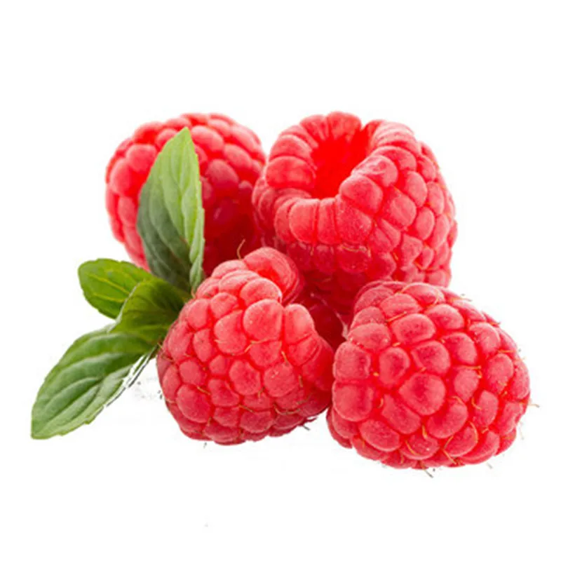 Premium Natural Raspberry  Fruit Powder Raspberry Fruit Juice Powder Fruit Extrat