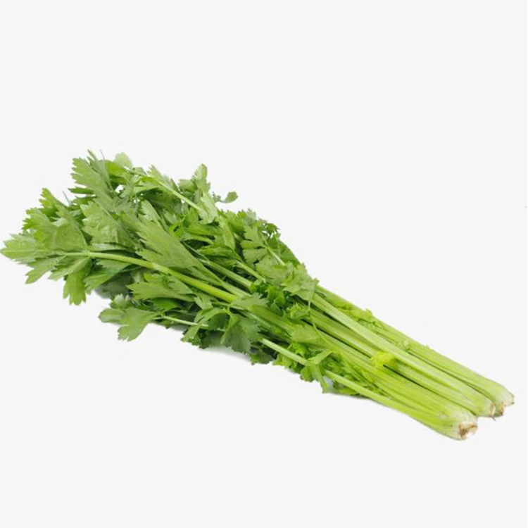Wholesale natural fresh chinese high quality healthy green celery