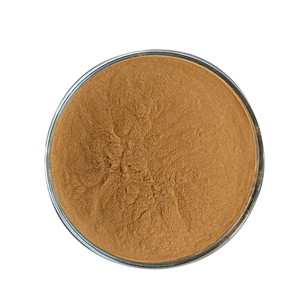 Food Grade Cucumber Seeds Powder Fresh Cucumber Extract Cucumber Seeds Extract