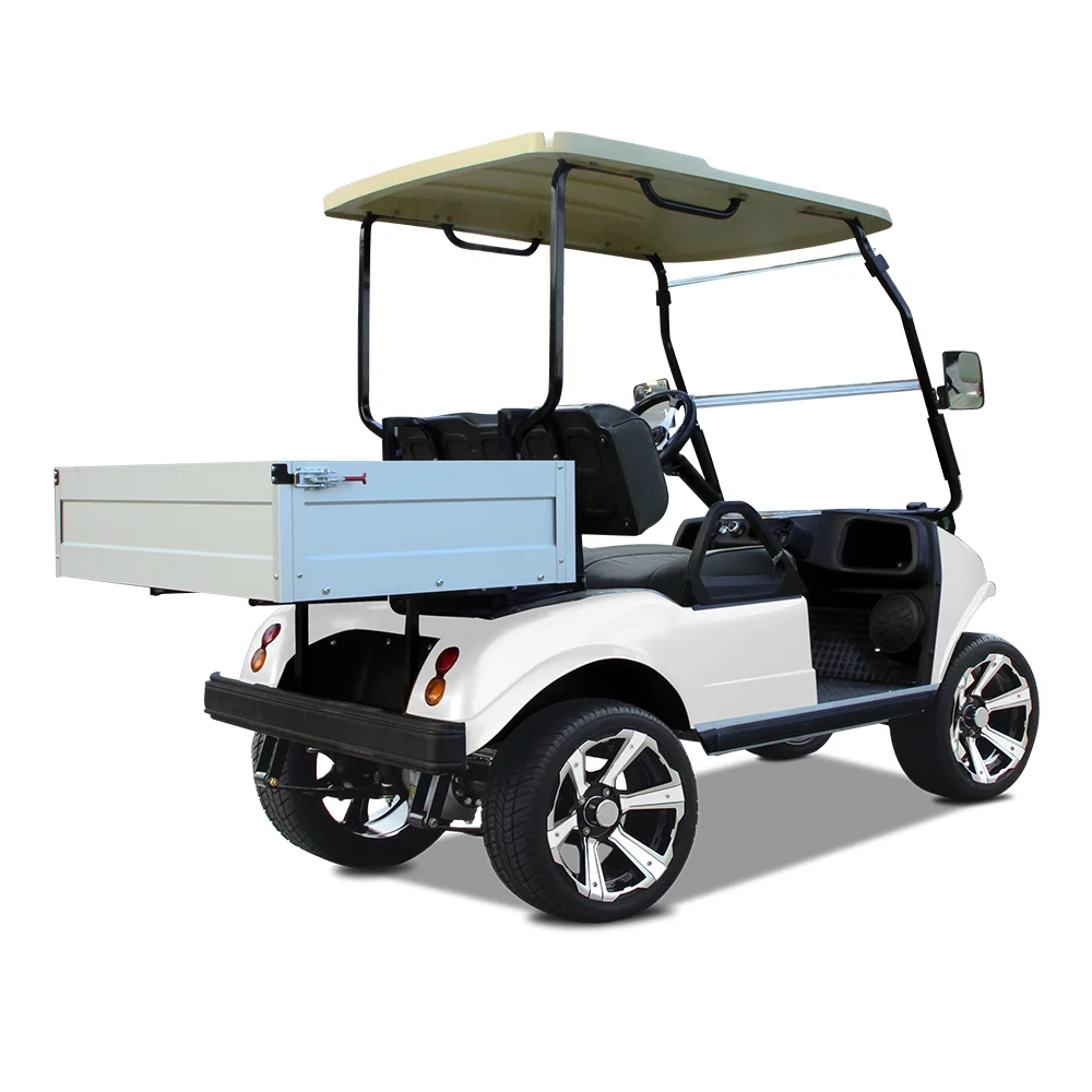 HDK Fast Electric Golf Buggy Cart Electrical Power Steering Off-road Scooter New Design Utility Vehicle 48V Beige Service Cart