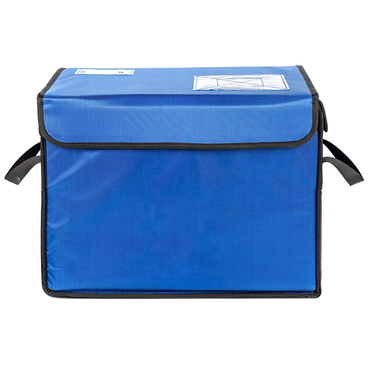 Customized Logo Brand Printing Professional Delivery Insulated Cooler Bag Keep Food Hot And Cold