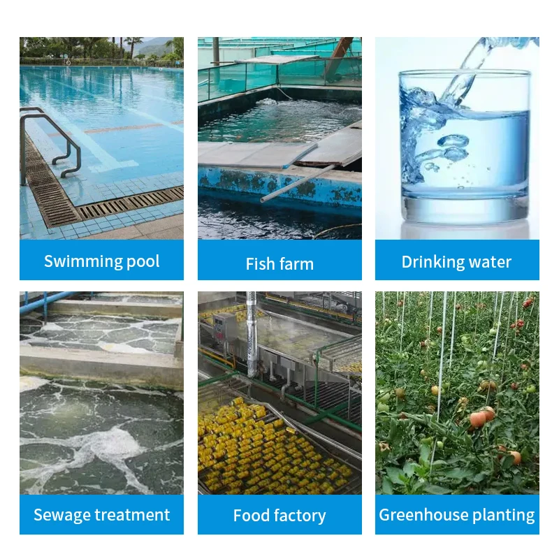 1-10ppm custom made Ozone water generator for water purification drinking water disinfection sewage treatment