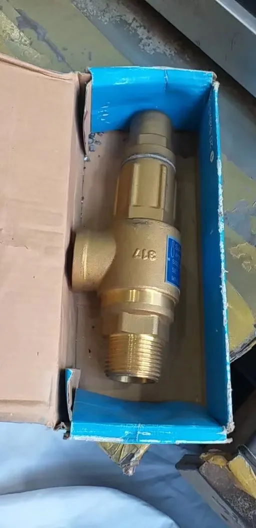 TKFM пружинный полный подъемник S10L латунный SS бойлер газовый бак паровой регулируемый предохранительный