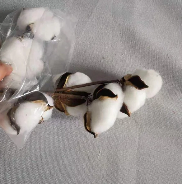 FCR1013 Factory supply decorative dried artificial cotton stems garland for sale