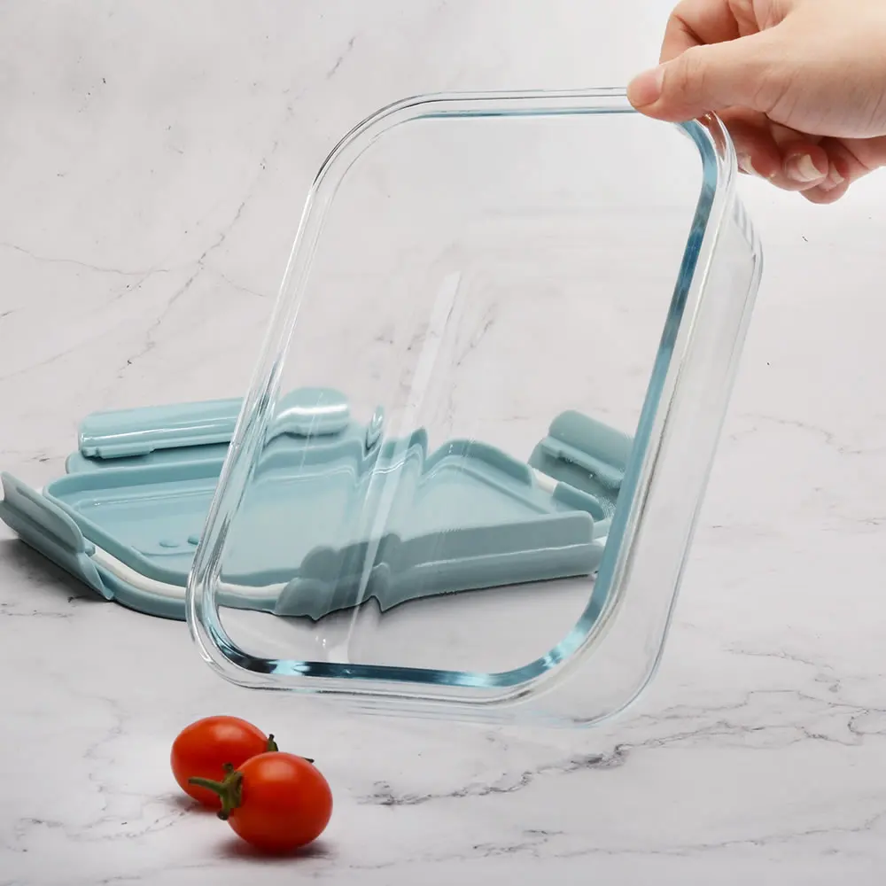 Modern Style Fresh Blue Lid Salad Container Dry Food Storage Box