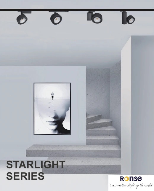 RONSE 110V Indoor IC Driver Cylinder Junction Box Round Rail Track Light System Ip20 20watt 30watt 40watt Led Track Light