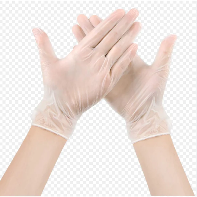 Clear Vinyl Gloves Food Grade PVC Powder- Free Disposable